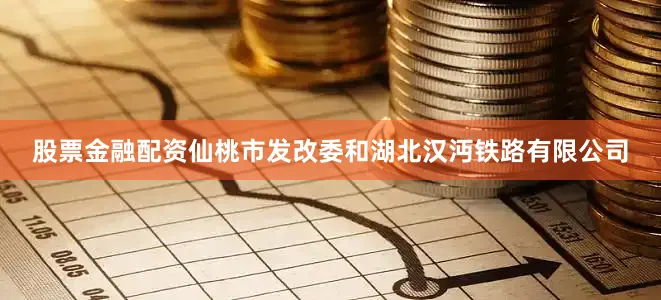 股票金融配资仙桃市发改委和湖北汉沔铁路有限公司